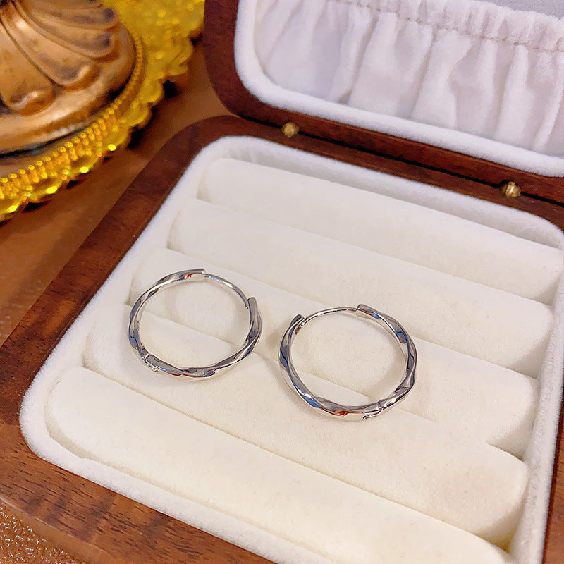 Wholesale light luxury hoop earrings