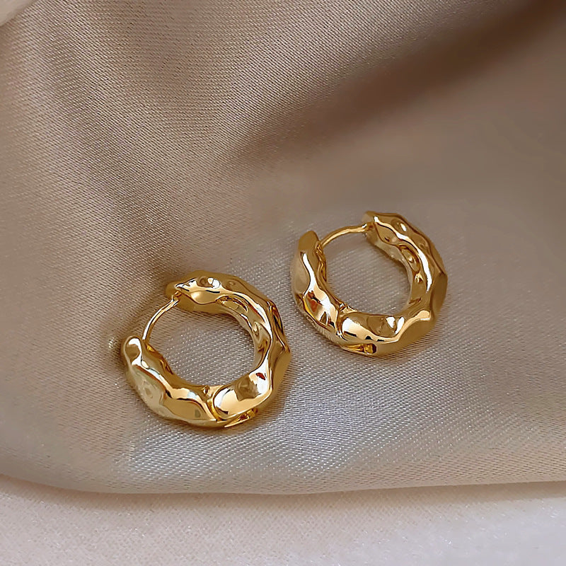 Wholesale Niche Metal Hoop Earrings Gold Earrings ACC-ES-DangKa006