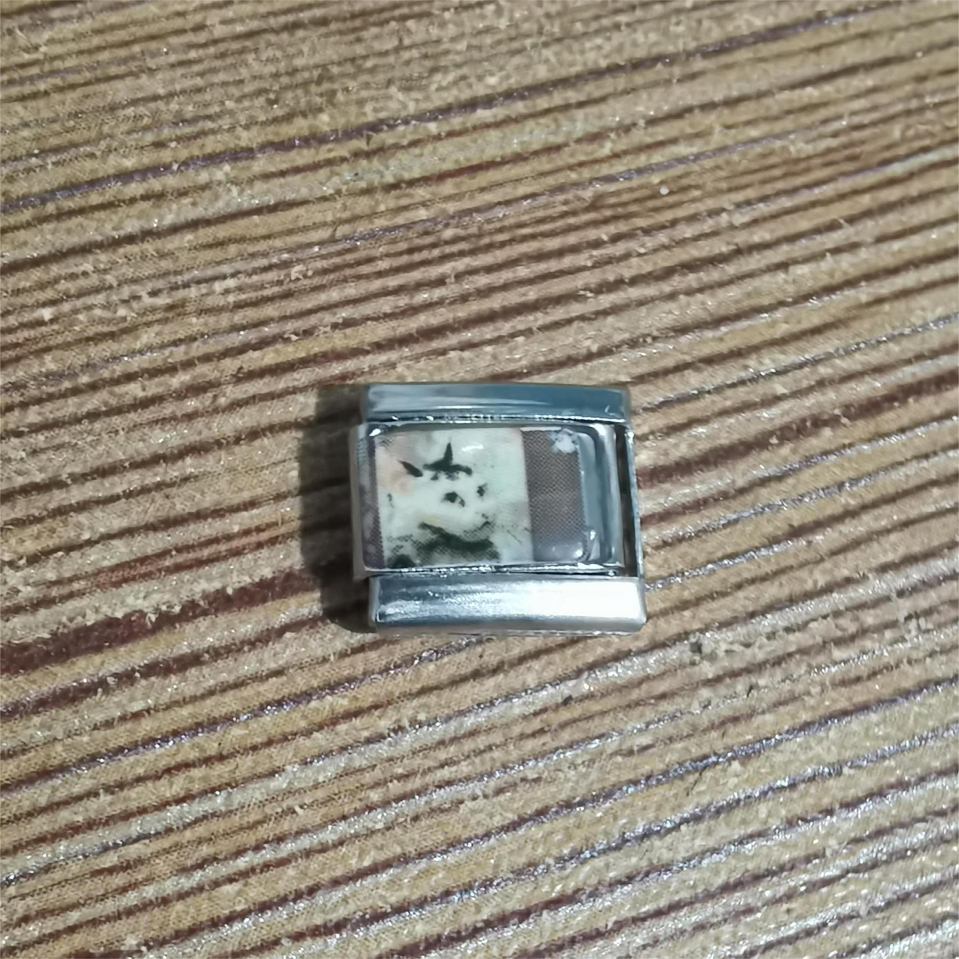 Wholesale 10pcs Italian Charm Bracelet 9mm DIY Spliced Removable Stainless Steel Cartoon Cat Composable Bracelet ACC-BT-XY026