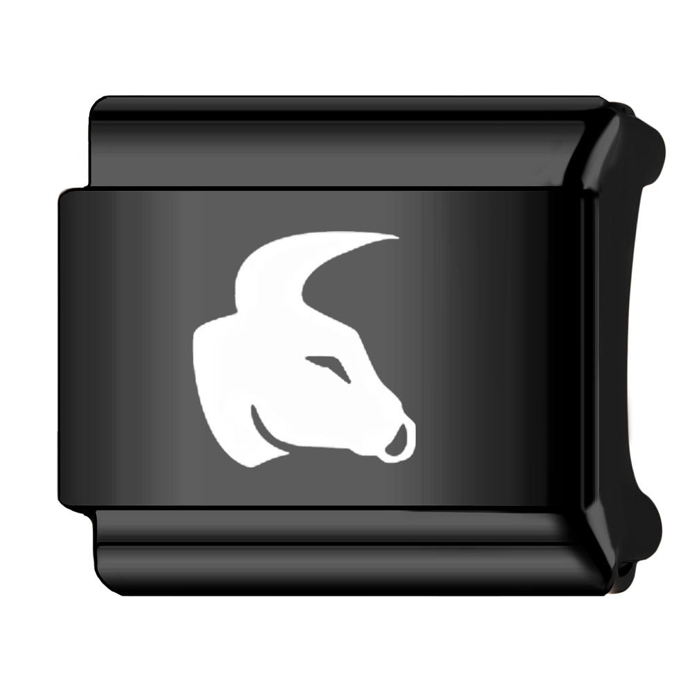 Wholesale Italian Charm Bracelet 9mm DIY Splicing Zodiac Series Stainless Steel Composable Bracelet