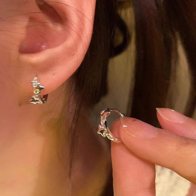 Wholesale  Star Mans Hoop Earrings  Light Luxury Niche Advanced Earrings