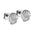 Wholesale  shell stud stainless steel  earrings