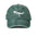 Wholesale Dinosaur Expression Printing Baseball Cap