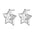 Wholesale  five-pointed star stainless steel earrings