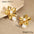 Wholesale  Stainless Steel Earrings Baroque Pearl Earrings