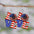 Wholesale American Independence Day Red White Blue Flag Striped Stars Sunflower Double Sided Earrings