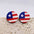 Wholesale Independence Day  American Flag Eagle Round Five-pointed Star Printed Wooden Earrings