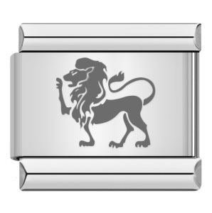 Wholesale  Italian modular Titanium steel laser engraving series 12 constellations bracelet DIY bracelet