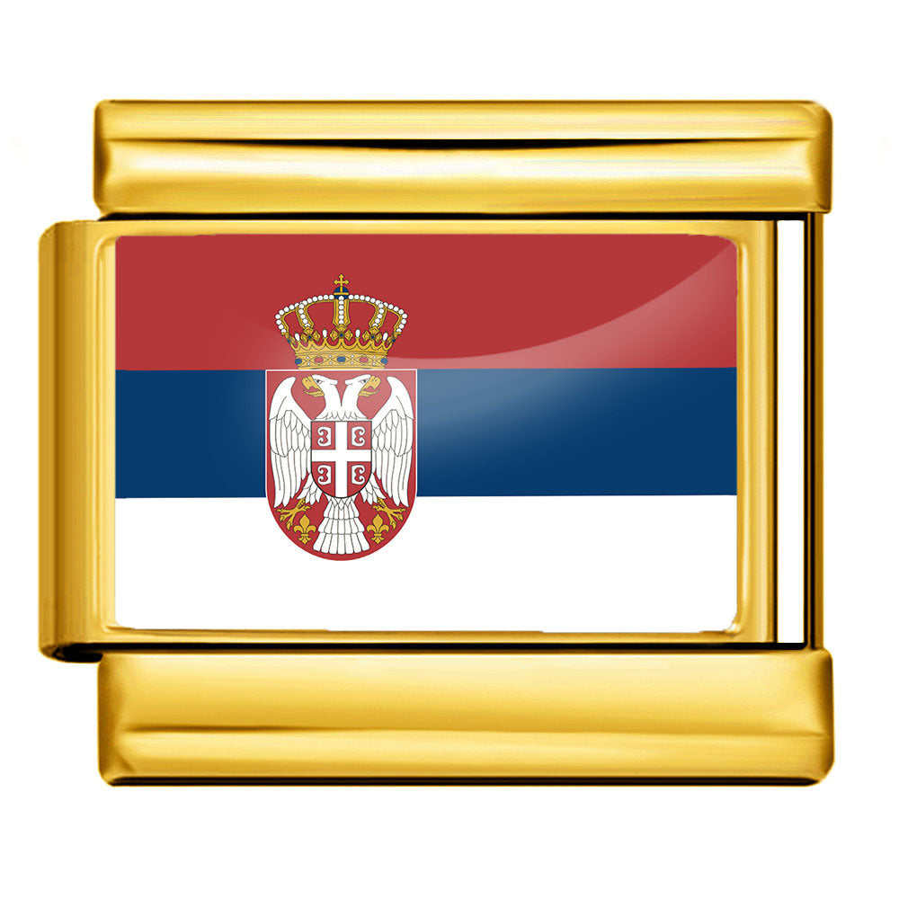 Wholesale Golden World Flag Photo Epoxy Italian Module Bracelet DIY Stainless Steel Elastic Strap Chain Bracelet