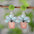 Wholesale Flower Plant Pot Acrylic Pendant Earrings