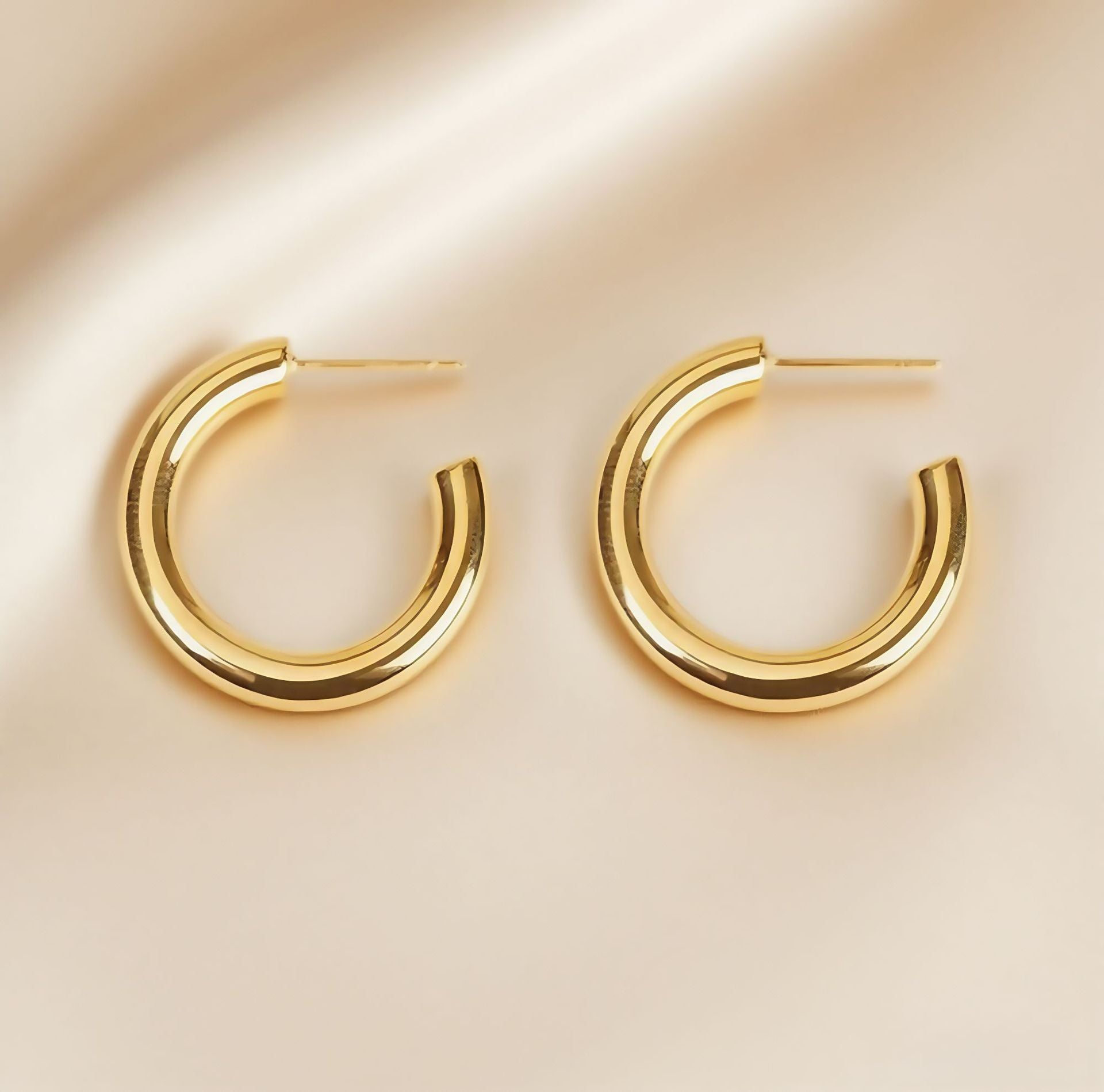 Wholesale Titanium steel earrings