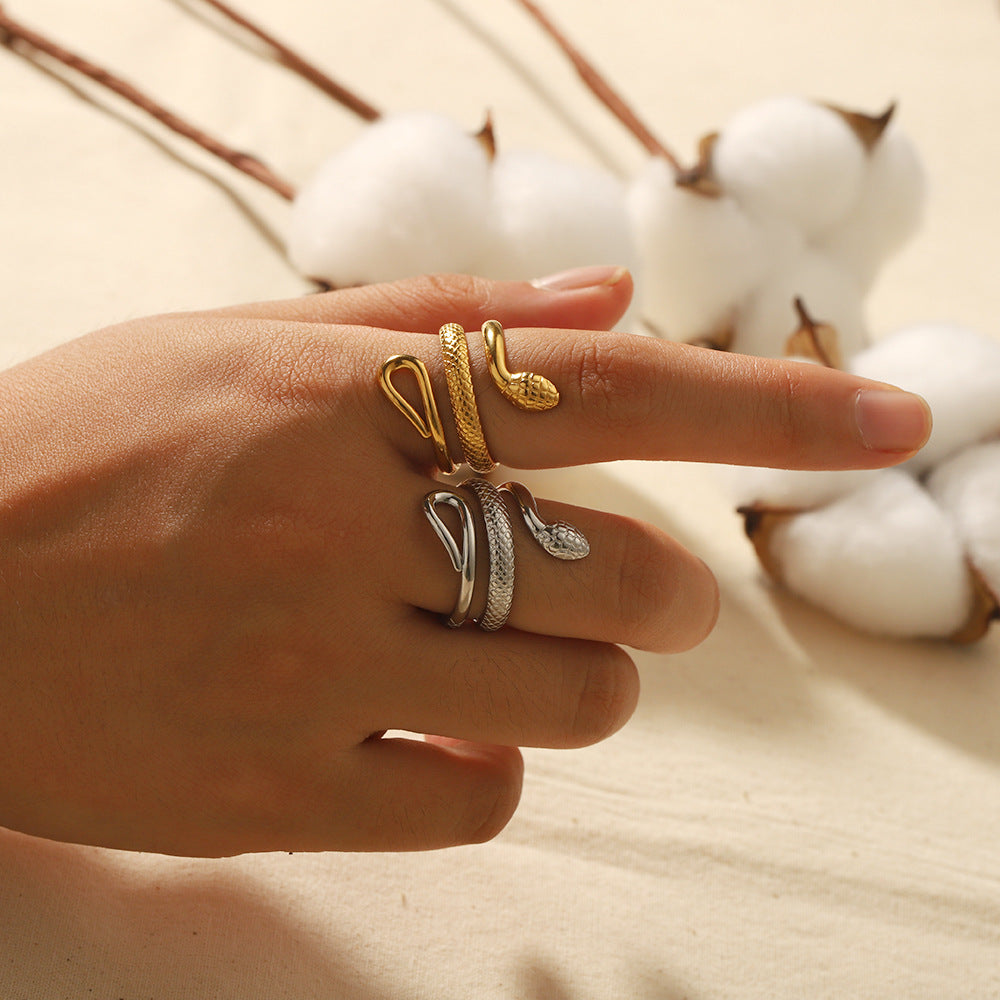 Wholesale Light Luxury 18K Gold Stainless Steel Hollow Rings ACC-RS-LiQuan004