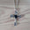 Wholesale Rose Diamond Cross Necklace