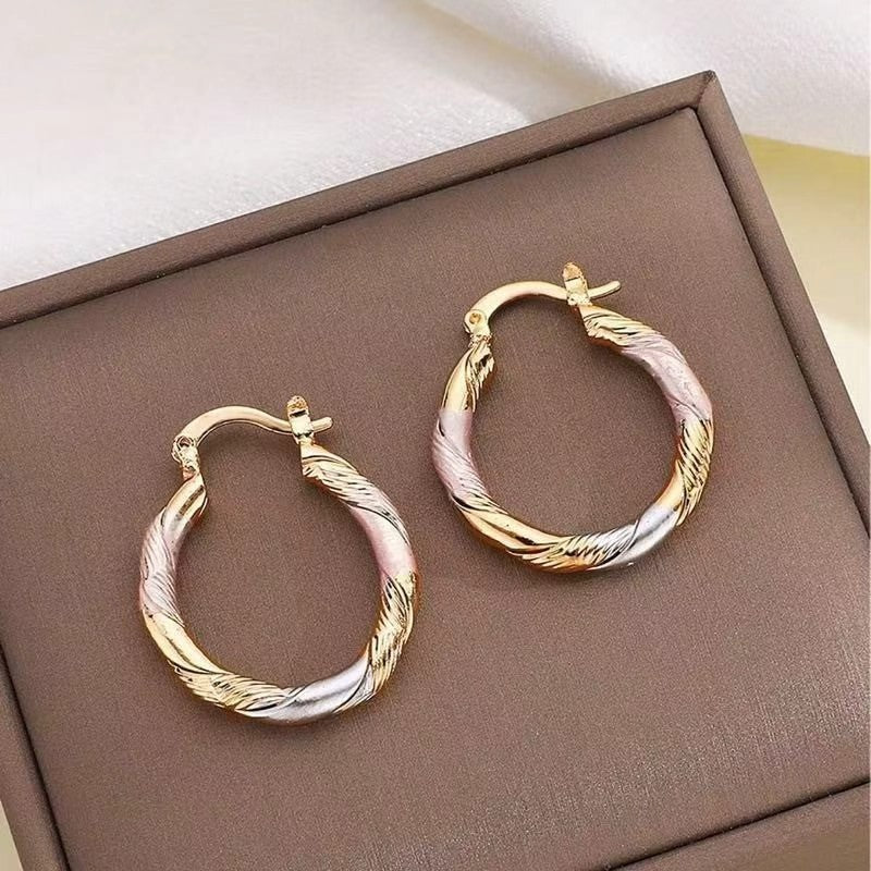 Wholesale Trendy Geometric Circle Hoop Earrings Gold Zinc Alloy Everyday Jewelry Accessory For Gift And Resale