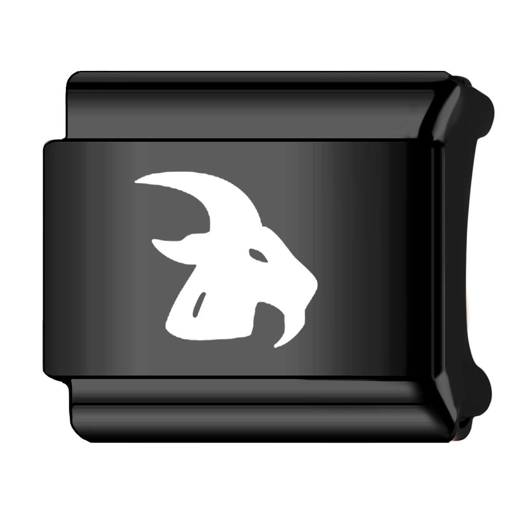 Wholesale Italian Charm Bracelet 9mm DIY Splicing Zodiac Series Stainless Steel Composable Bracelet