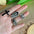 Wholesale Retro Exaggerated Ring Personality Fashion Opening Adjustable Owl Cross Combination 4-piece Set