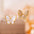 Wholesale Silver Needle High-grade Zircon Butterfly Pearl Earrings