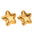 Wholesale  five-pointed star stainless steel earrings light luxury  earrings