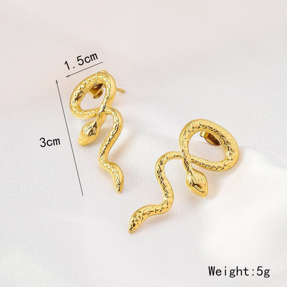 Wholesale Stainless Steel Irregular Exaggerated Earrings ACC-ES-RuiX012