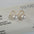 Wholesale 925 silver pearl earrings