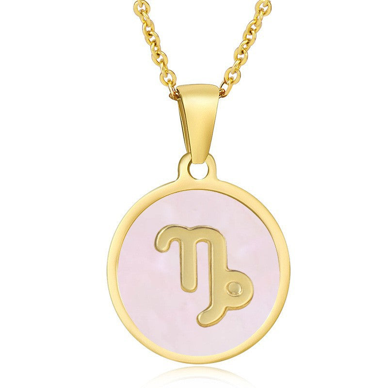 Wholesale Titanium Steel Necklace Twelve Zodiac Necklace Constellation Necklace ACC-NE-ZhongY014