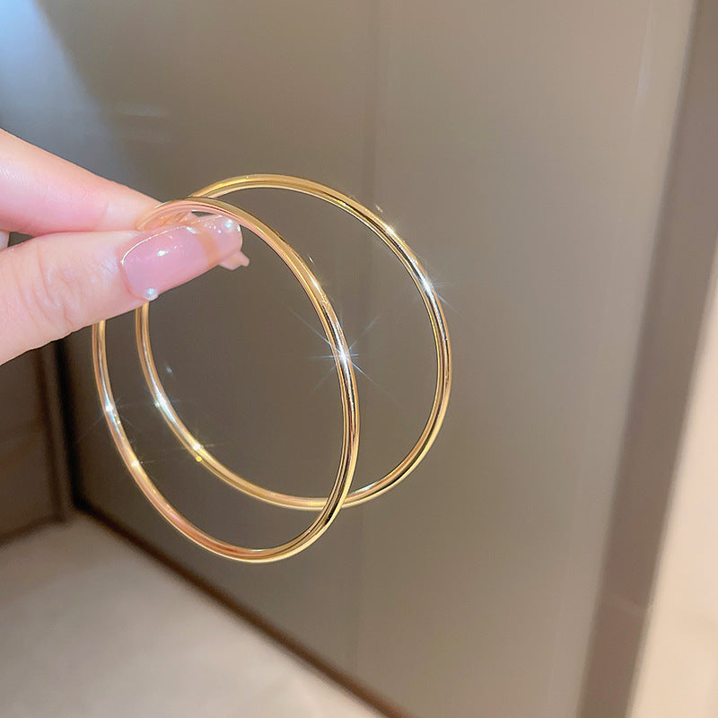 Wholesale 925 Silver Needle Earrings Exaggerated Earrings Statemente Earrings ACC-ES-Huiih003