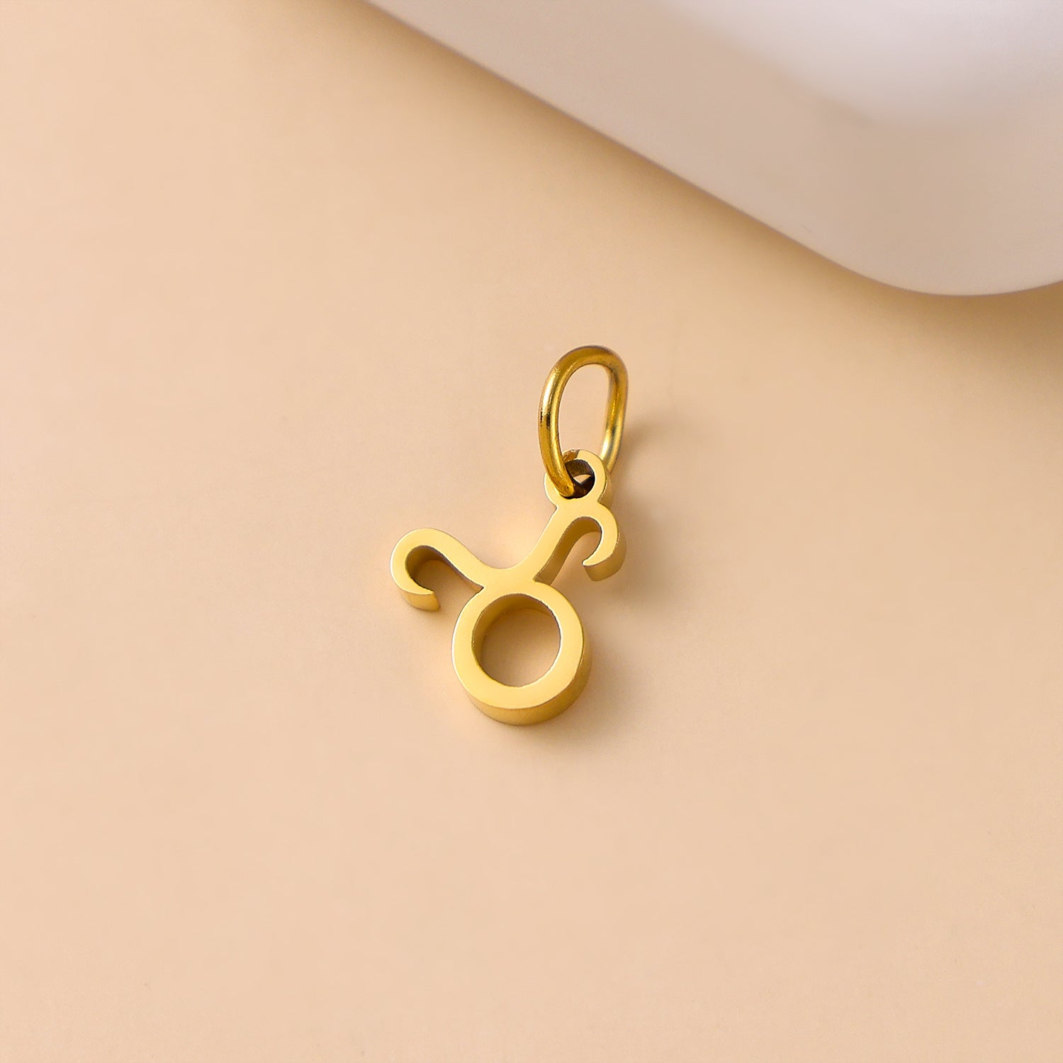 Wholesale Twelve Zodiac Stainless Steel DIY Pendant