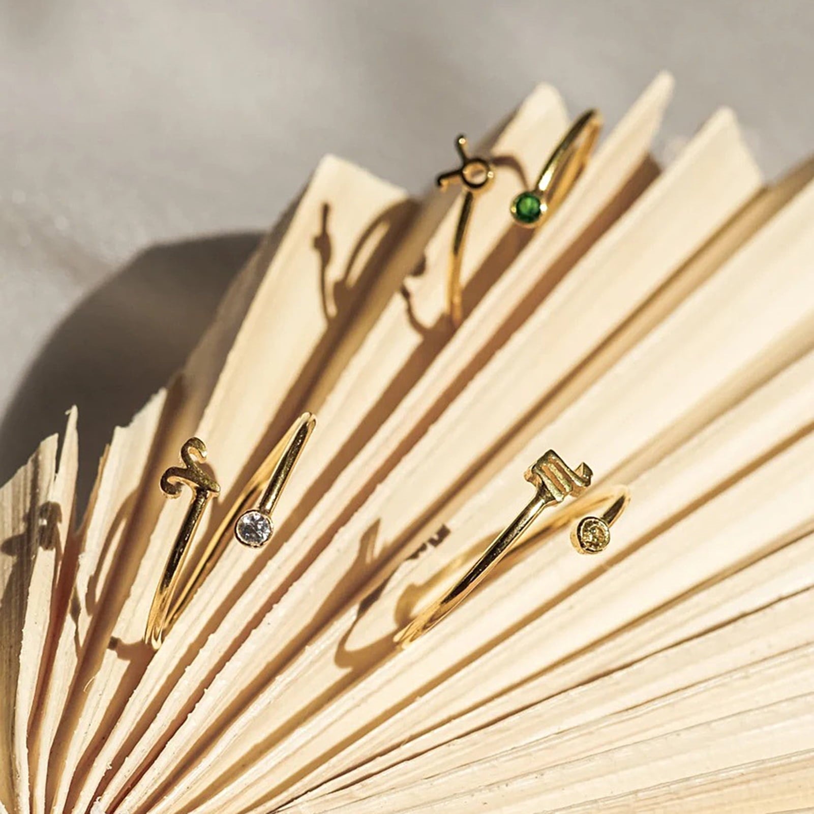 Wholesale Titanium Steel Classic Evergreen Twelve Constellation Adjustable Ring