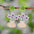 Wholesale Flower Plant Pot Acrylic Pendant Earrings