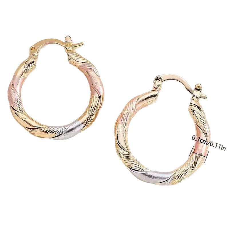 Wholesale Trendy Geometric Circle Hoop Earrings Gold Zinc Alloy Everyday Jewelry Accessory For Gift And Resale