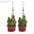 Wholesale 3D Small Potted Cactus Earrings