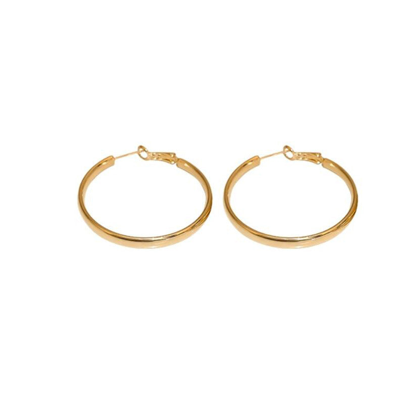 Wholesale Metal Hoop Earrings for Women Elegant Earrings ACC-ES-DangKa001