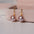 Wholesale Natural Freshwater Pearl  Earrings