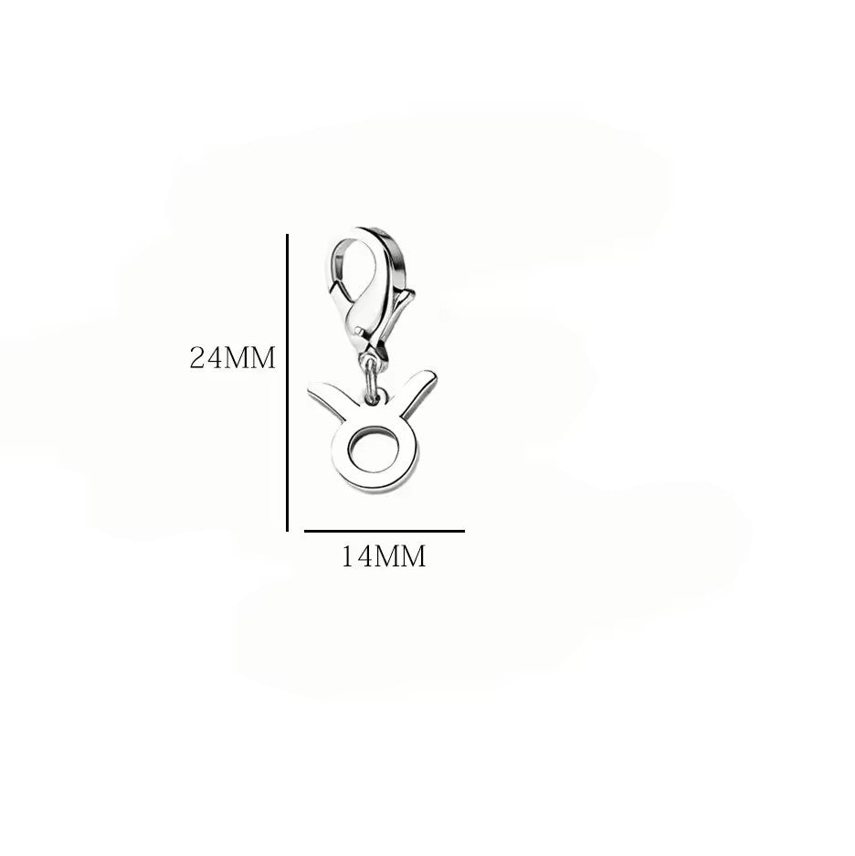 Wholesale Casual Stainless Steel Zodiac Pendant Charms with Lobster Clasp for DIY Jewelry Bracelets Necklaces,  Gift Idea