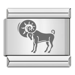 Wholesale  Italian modular Titanium steel laser engraving series 12 constellations bracelet DIY bracelet