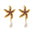 Wholesale Conch Sea Star Pendant Necklace Earrings  Jewelry