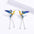 Wholesale  creative pastoral style enamel three-piece hummingbird ring necklace earrings  jewelry