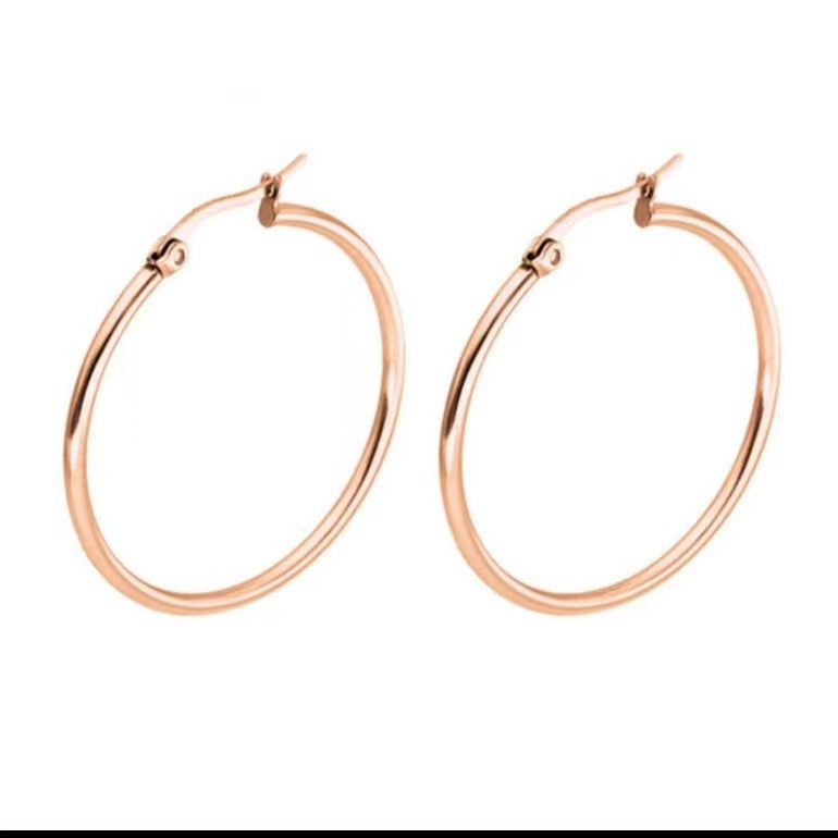 Wholesale Stainless Steel Earrings Exaggerated Large Earrings Statemente Earrings ACC-ES-Chunp002