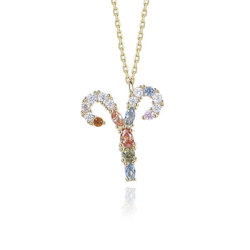 Wholesale 925 Sterling Silver Rainbow 12 Zodiac Necklace ACC-NE-YuanFan006
