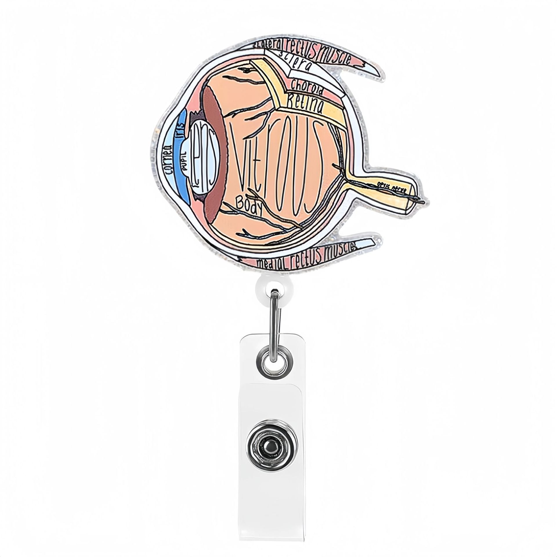 Wholesale Glitter Brain and Lung Human Organs Acrylic Retractable Clip Badge Keychain