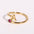 Wholesale Titanium Steel Classic Evergreen Twelve Constellation Adjustable Ring