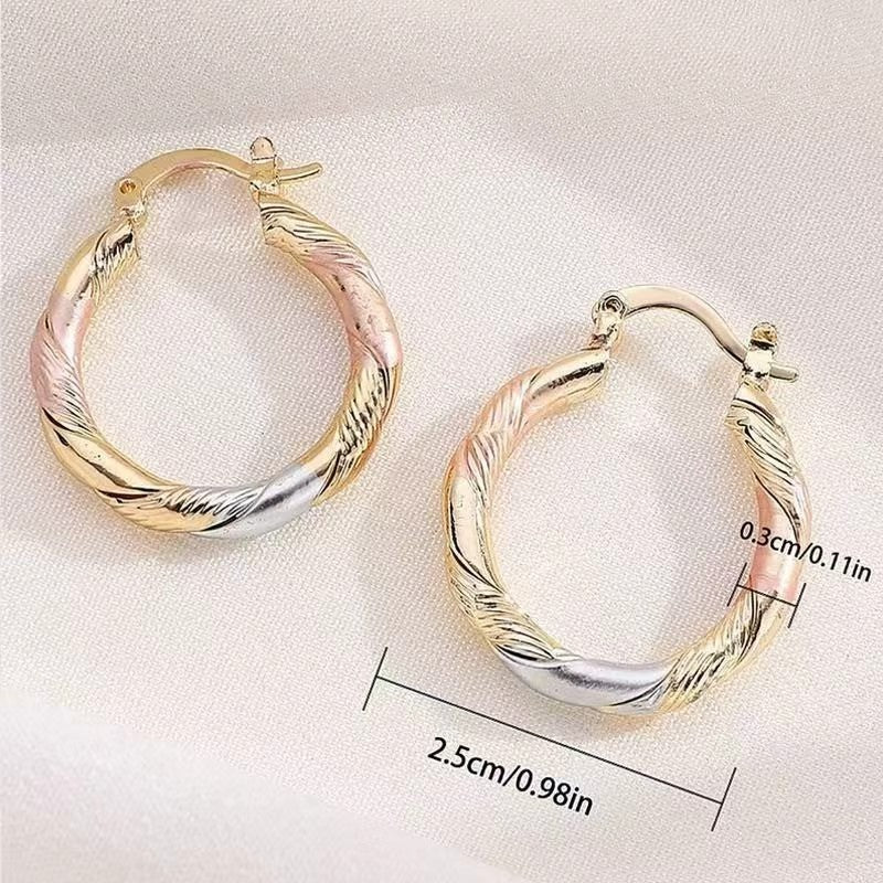 Wholesale Trendy Geometric Circle Hoop Earrings Gold Zinc Alloy Everyday Jewelry Accessory For Gift And Resale