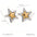 Wholesale  Stainless steel Gold and Silver Color-matching Five-pointed Star Earrings