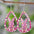 Wholesale Easter Egg Basket Hollow Water Drop Wooden Double Sided Earrings