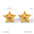 Wholesale  Stainless steel Gold and Silver Color-matching Five-pointed Star Earrings