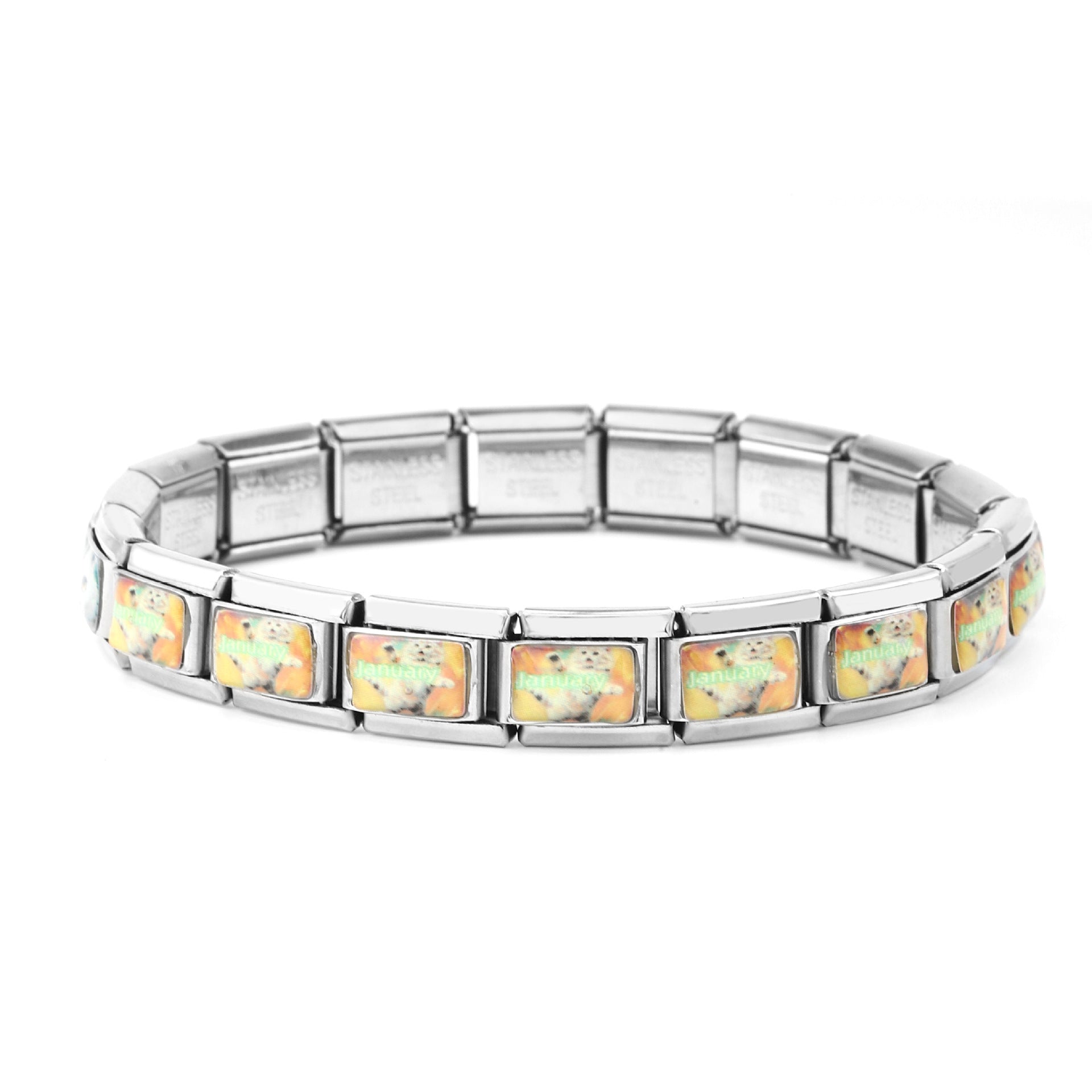 Wholesale 10pcs Italian Charm Bracelet 9mm DIY Spliced Removable Stainless Steel Cartoon Cat Composable Bracelet ACC-BT-XY026