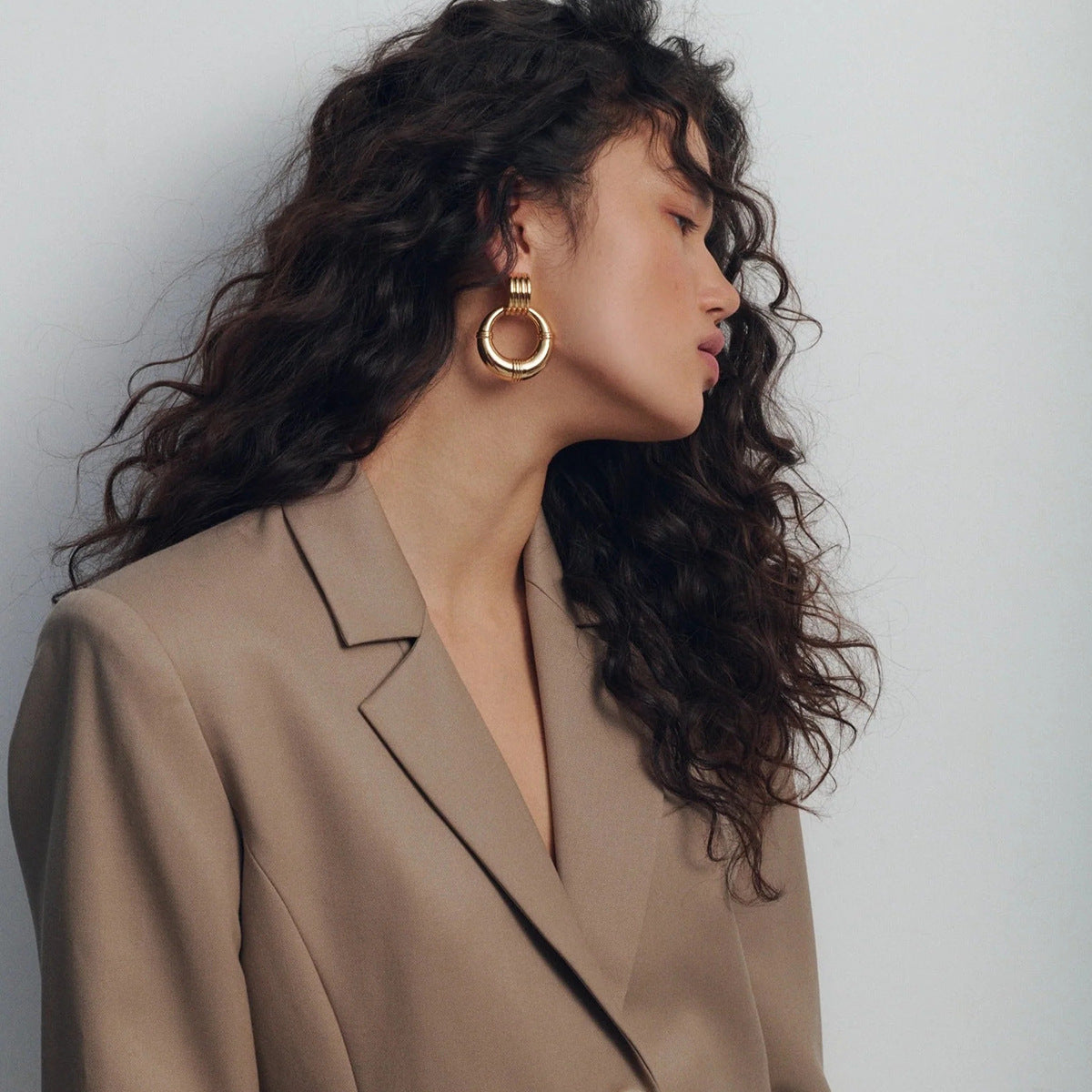 Wholesale Stainless Steel Hoop Earrings ACC-ES-WanX007