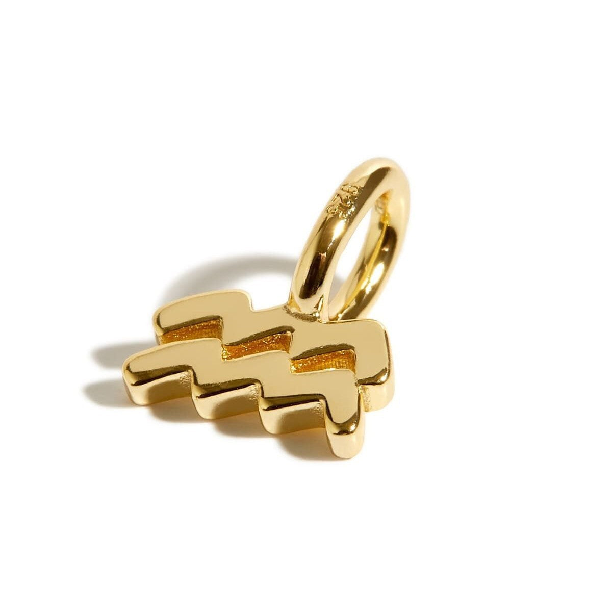 Wholesale Stainless Steel 12 Zodiac Signs Pendant Necklace