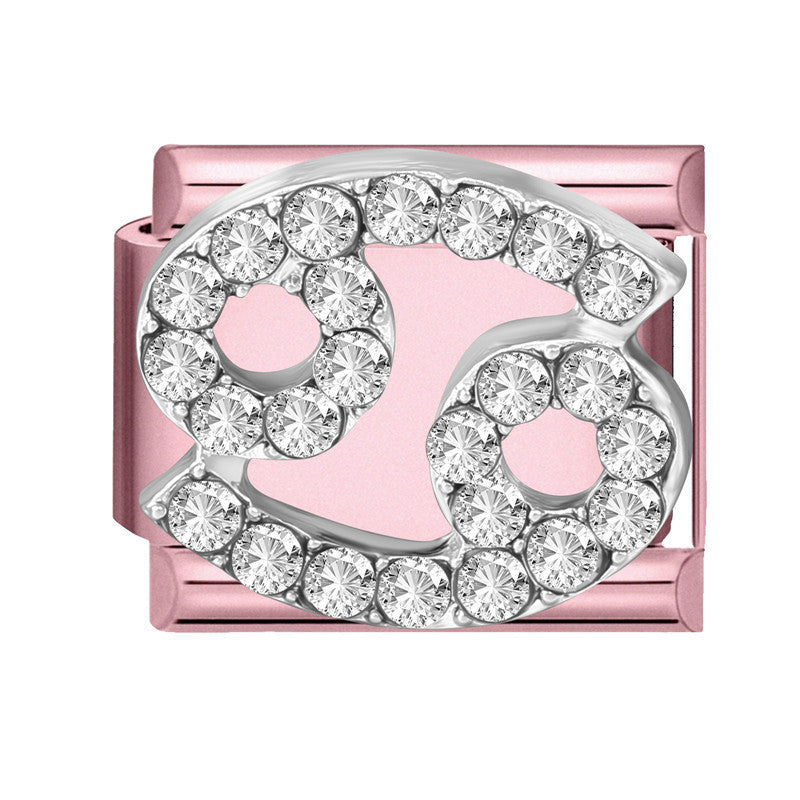 Wholesale Trendy Pink Zodiac Pisces Bracelet Charm Stainless Steel Crystal DIY Jewelry Accessory For Party Gift