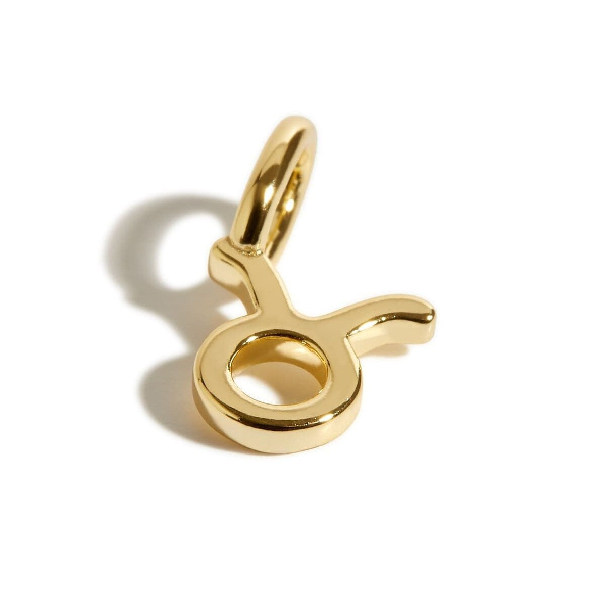 Wholesale Stainless Steel 12 Zodiac Signs Pendant Necklace